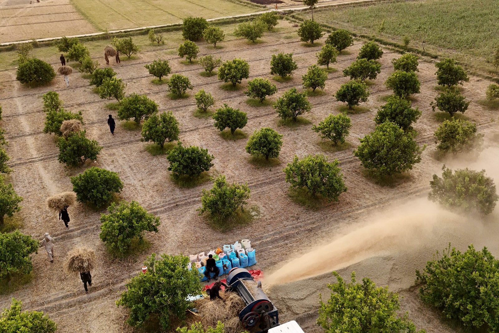 Growing blocks at the start of the chain
