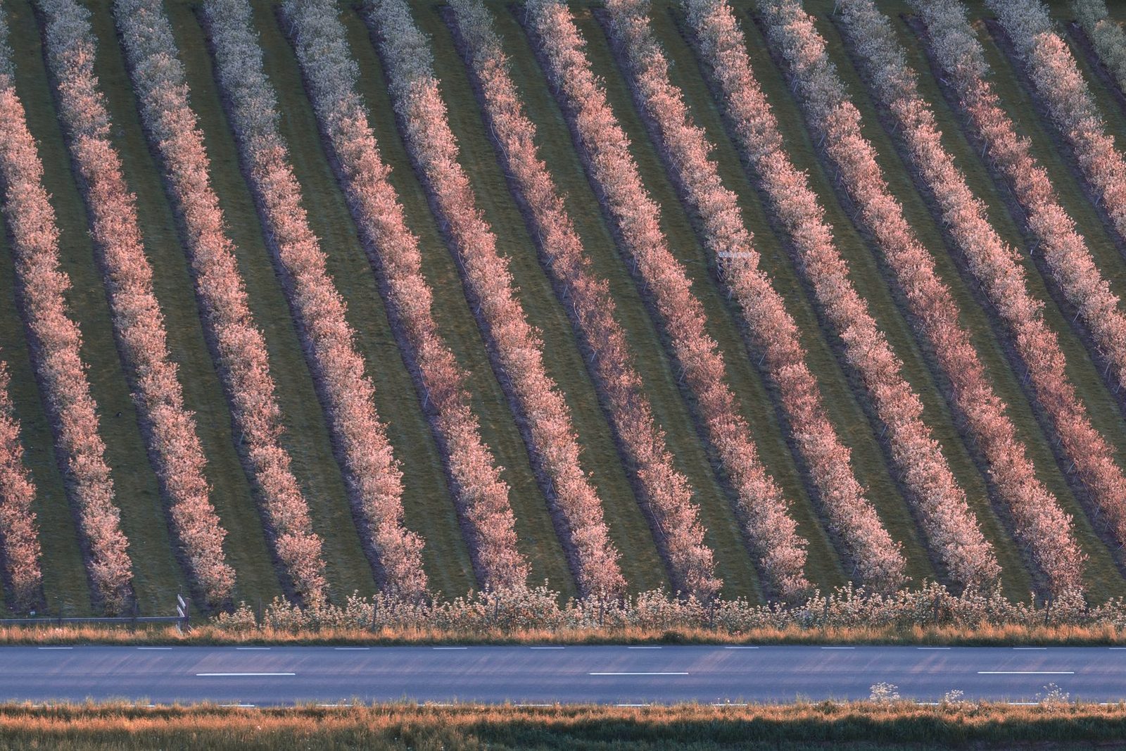 Growing blocks at the start of the chain