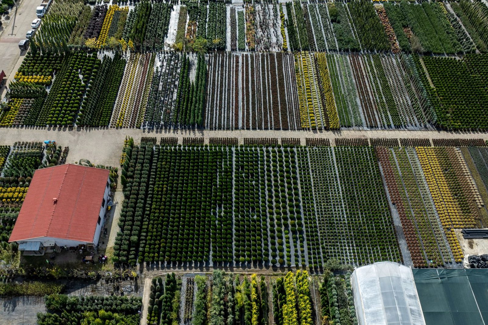 Growing blocks at the start of the chain