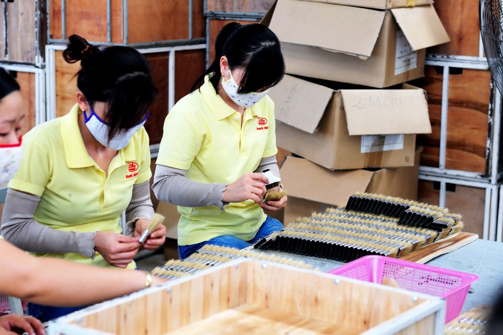 Sorting and grading on the line
